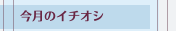 今月のイチオシ